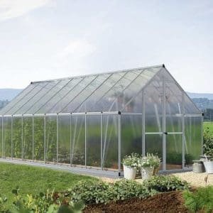 חממה ביתית 2.4x6 ESSENCE הובלה חינם 707155 CANOPIA