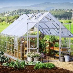 חממה ביתית 3x5 BALANCE הובלה חינם 707011 CANOPIA